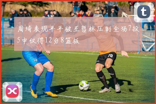 周琦表现平平被王哲林压制全场7投5中仅得12分8篮板